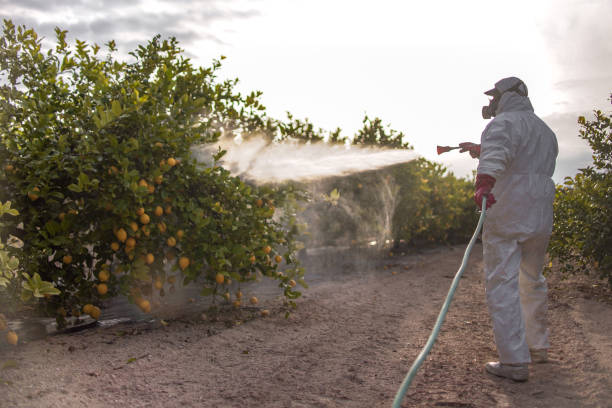 Best Exterminator Services  in Stoughton, WI