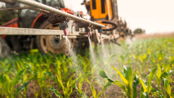 Best Pest Prevention Services  in Stoughton, WI